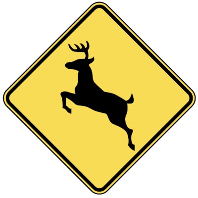 deer_crossing