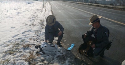 new-york-state-police-dogs-dumped