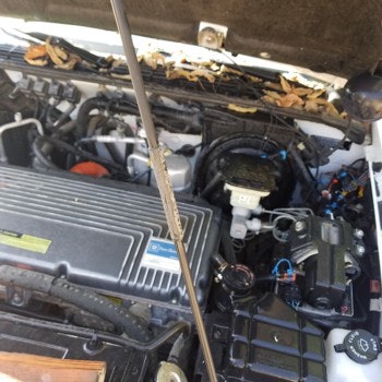 Factory original electric Chevy S 10 Ford Ranger up for sale